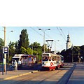0316-25.jpg