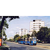 0325-11.jpg