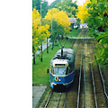 0334-13.jpg