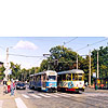 0335-11.jpg