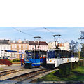 0336-33.jpg