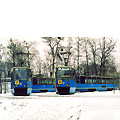 0339-36.jpg