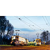 0403-14.jpg