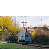 0404-22.jpg