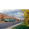 0404-23.jpg