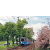 0407-03.jpg