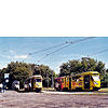 0423-14.jpg