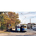 0429-05.jpg