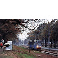 0429-20.jpg