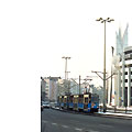0503-17.jpg