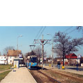 0506-19.jpg