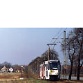 0506-20.jpg