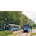 0512-36.jpg