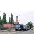 0513-18.jpg