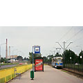 0513-21.jpg