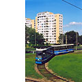 0513-36.jpg