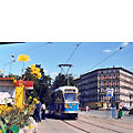 0522-01.jpg