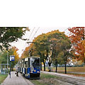 0529-26.jpg