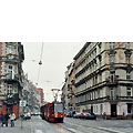 0532-33.jpg