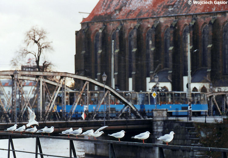 0627-35.jpg