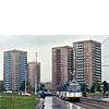 0729-06.jpg
