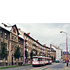 0730-17.jpg
