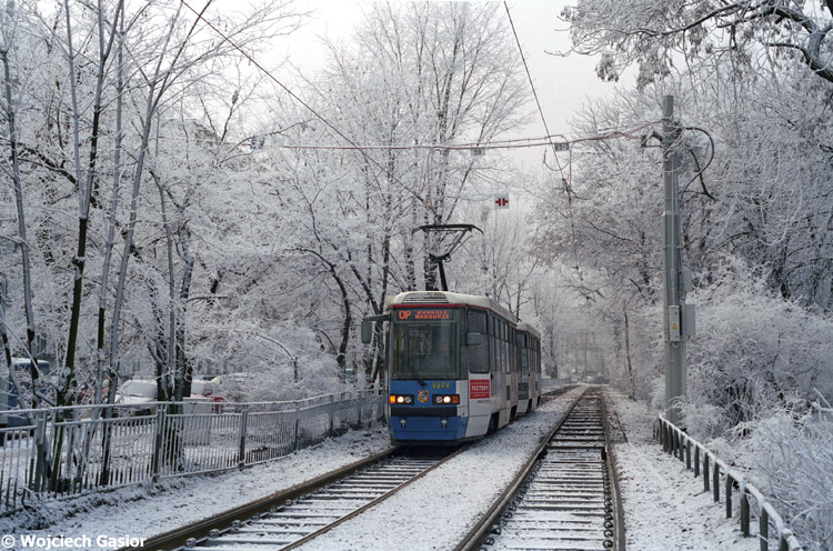 0738-24.jpg