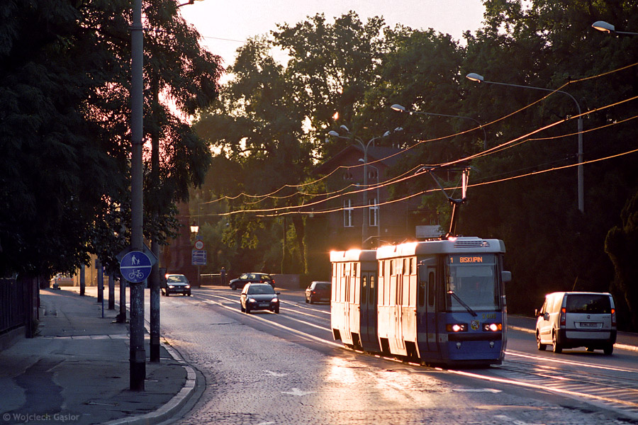 0808-06a.jpg