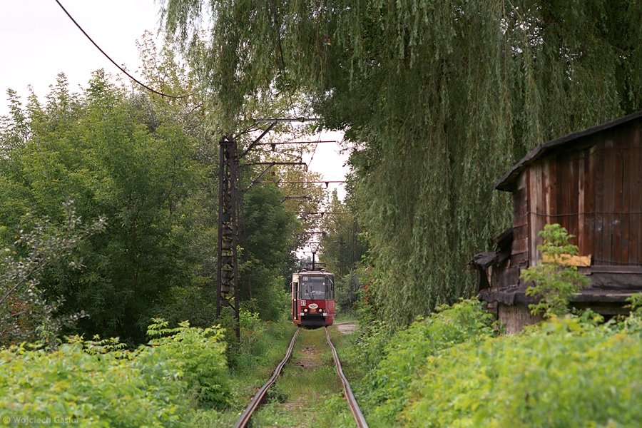 0811-30.jpg