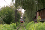 0811-30.jpg