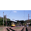 0812-33.jpg