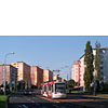0812-37.jpg
