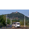 0813-12.jpg