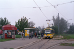 0813-17.jpg