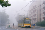 0813-18.jpg