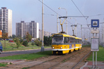 0813-27.jpg