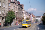 0813-29.jpg