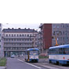 0815-21.jpg