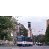 0815-31.jpg
