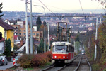 0821-11.jpg