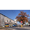 DSCF5352.jpg