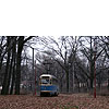 DSCF6252.jpg