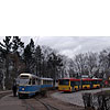 DSCF6358.jpg