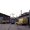 DSCF6439.jpg