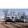 DSCF6447.jpg