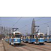 DSCF6524.jpg