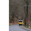 DSCF6583.jpg
