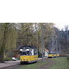 DSCF6592.jpg