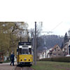 DSCF6593.jpg