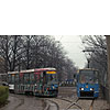 DSCF6688.jpg